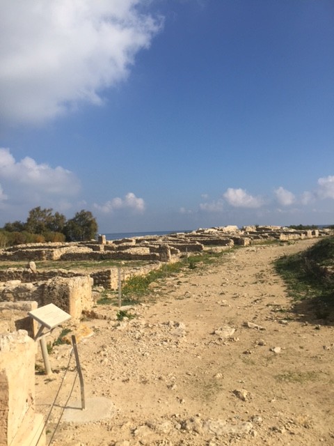 Kerkouane – unexplored, unexcavated