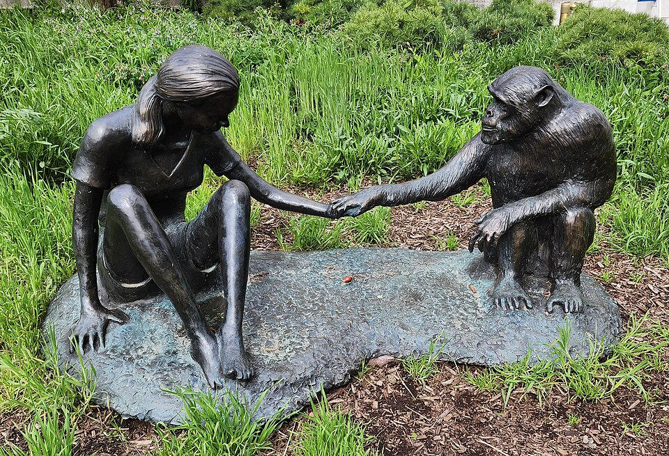 jane-goodall-scultpure.jpg